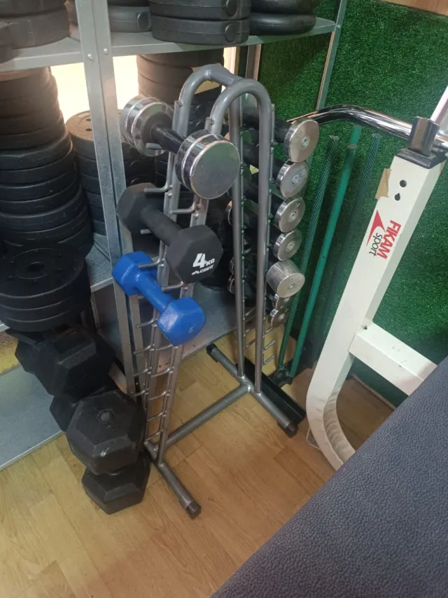 Mancuernas y discos de gimnasio