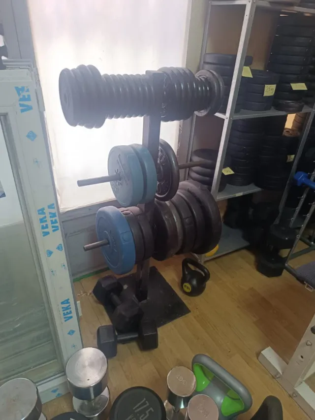 Mancuernas y discos de gimnasio