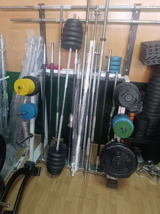 Mancuernas y discos de gimnasio