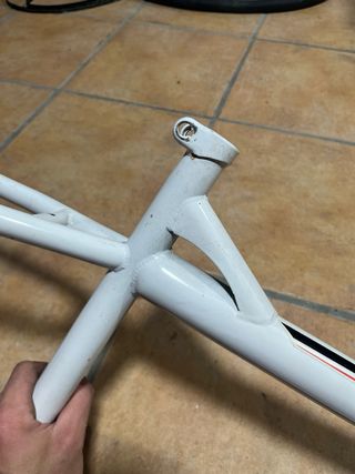 Cuadro MTB 24 Freerider Blanco