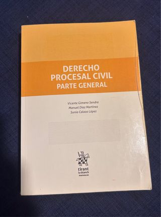 Derecho Procesal Civil Parte General (Manuales ...