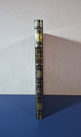 "Elogio de la Locura". Erasmo de Rotterdam.