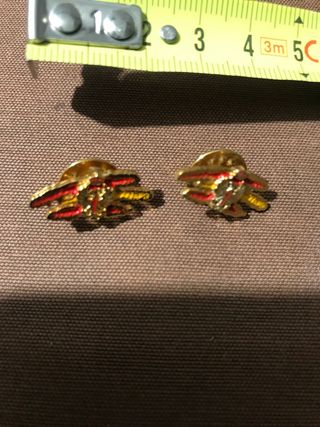 2 Pins Ejercito de Tierra.