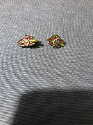 2 Pins Ejercito de Tierra.