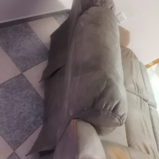 Sofá de 2 cuerpos en ante