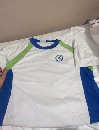 Camiseta chándal colegio Leonardo da Vinci