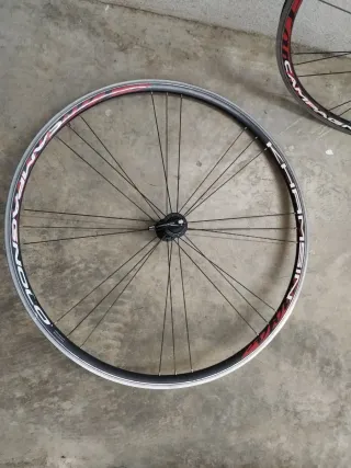 Llantas aluminio Campagnolo Khamsin.