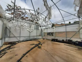 Estructura Invernadero ULMA 100m2