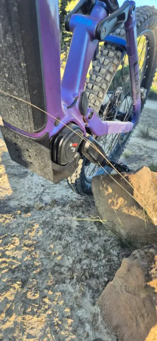 Protector Ebike Cube año  2025