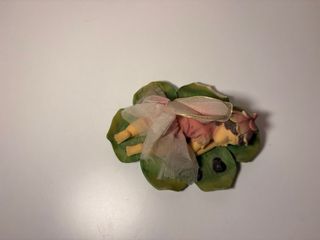 Fata da collezione su foglia con coccinelle