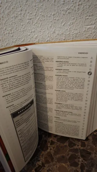 Diccionario Valenciano con imágenes