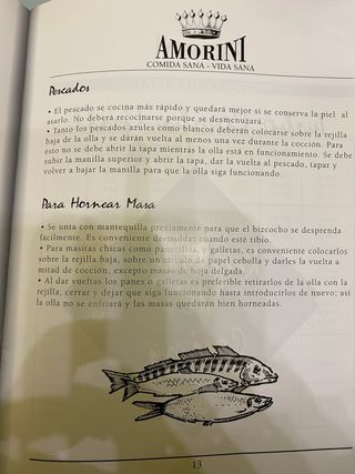 Amorini Turbo Combi Grill 15000