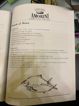 Amorini Turbo Combi Grill 15000