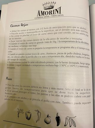 Amorini Turbo Combi Grill 15000