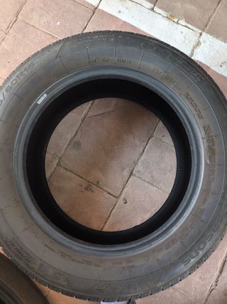 Ruedas de invierno 205/60R16