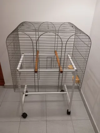 Jaula para loro, cotorra o ninfa