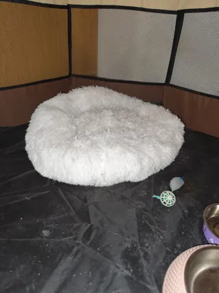 Cama redonda para gato