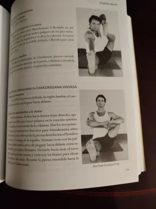 ENSEÑANZA DEL YOGA, LA: FUNDAMENTOS Y TECNICAS ...