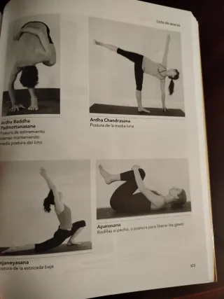 ENSEÑANZA DEL YOGA, LA: FUNDAMENTOS Y TECNICAS ...