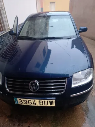 Volkswagen Passat 2001