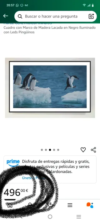 Cuadro Pingüinos Salto Hielo