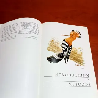 Atlas Aves nidificantes provincia de Burgos