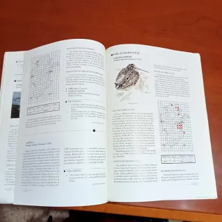 Atlas Aves nidificantes provincia de Burgos