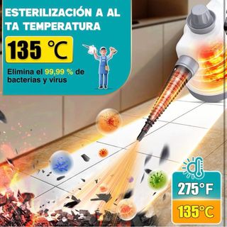 Limpiador a Vapor Portátil Rolipo