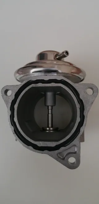 Válvula EGR Audi/Seat/VW/Skoda