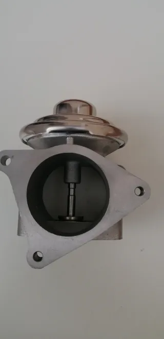 Válvula EGR Audi/Seat/VW/Skoda