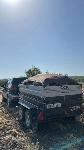 Leña de olivo para chimenea o barbacoa