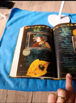 Flox sorride in autunno. Fairy Oak