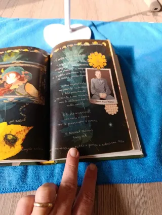 Flox sorride in autunno. Fairy Oak