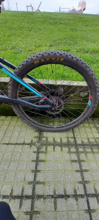 Bicicleta Orbea Occam