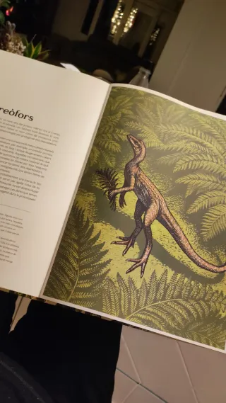 Precioso libro de dinosaurios