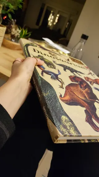 Precioso libro de dinosaurios