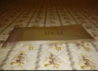 Casi 100 Bolsas Celofán Cierre Adhesivo 11x26 cm