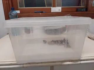 Caja Hogar Organizadora Transparente