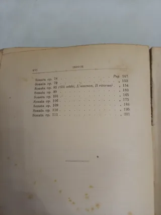 Le Sonate per Pianoforte di Beethoven di Leoni