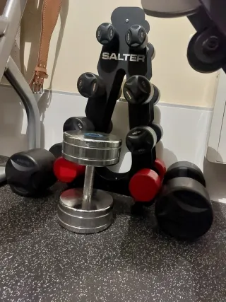 Lote Mancuernas Salter