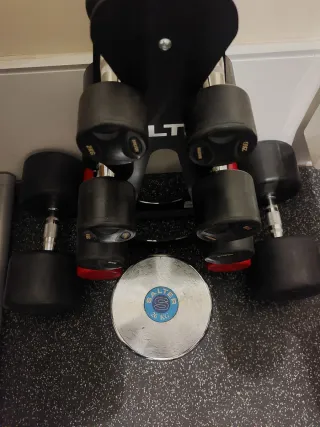 Lote Mancuernas Salter