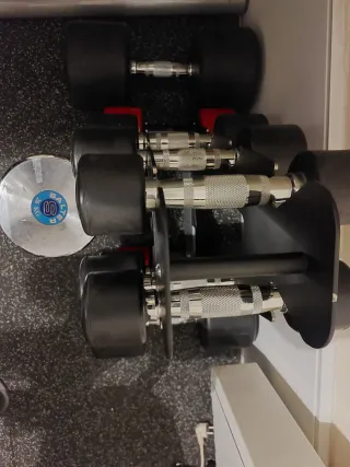 Lote Mancuernas Salter