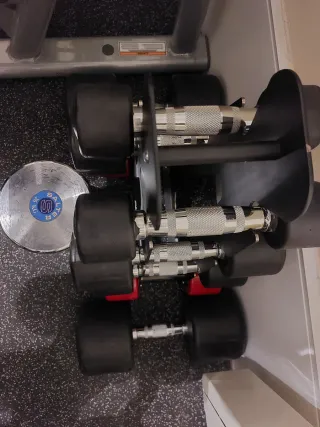 Lote Mancuernas Salter