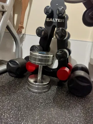 Lote Mancuernas Salter