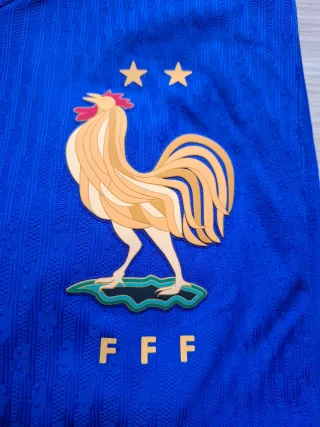 Maglia Francia Griezmann Dri-fit Adv L Nuova