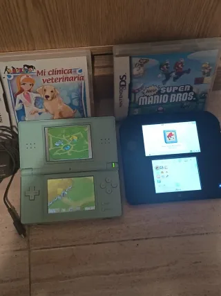 Lote Nintendo DS: 2 Consolas + Juegos