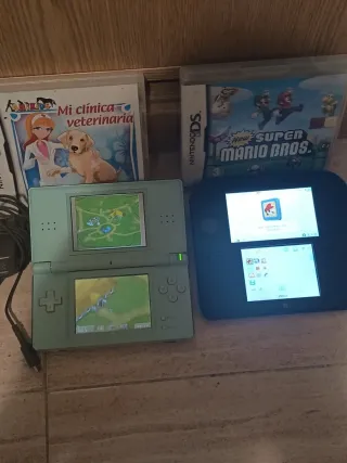 Lote Nintendo DS: 2 Consolas + Juegos