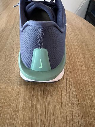 Zapatillas Nike Azul y Verde