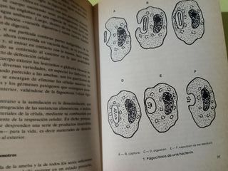 Reumatismo y Artritis , de 1988
