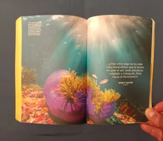 Agenda National Geographic 2026.